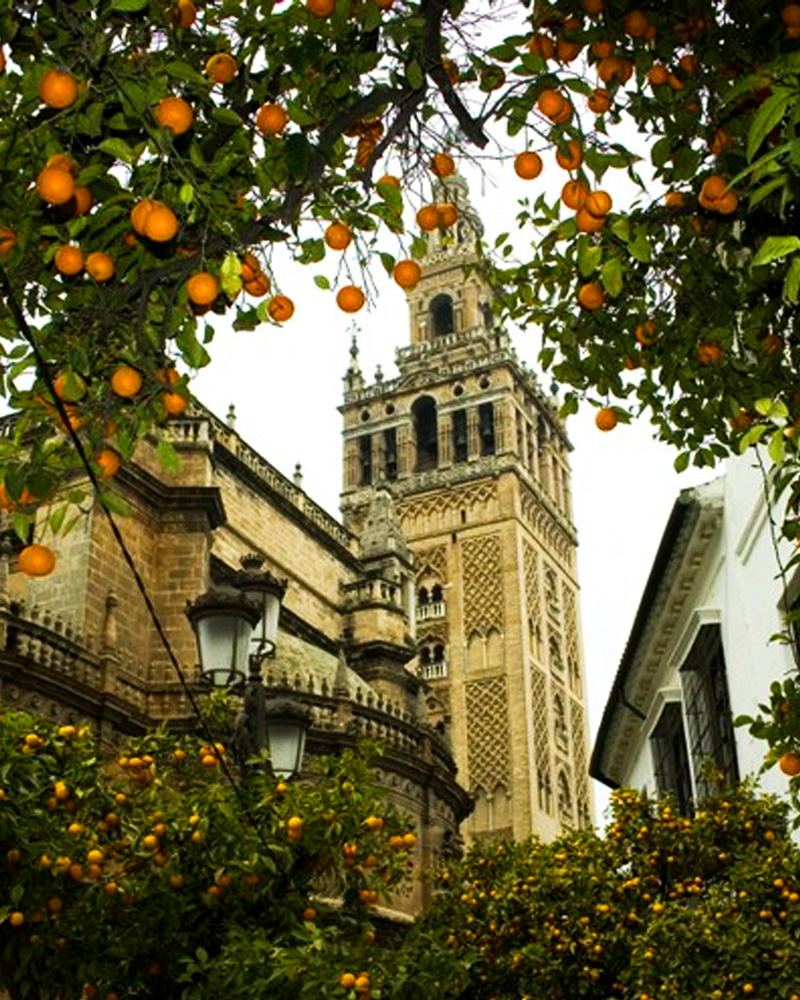 cuando viajar a Sevilla en Primavera